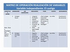 Operacionalizacion matriz de variables