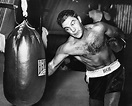 Rocky Marciano: conheça a história desta lenda invicta do boxe