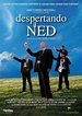 Despertando a Ned (1998) | Ya desperte, Pueblo irlandes, Carteles de ...