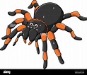 Niedliche Tarantula Spinne Cartoon Vektor Illustration Stock ...