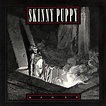 Skinny Puppy: Discography & Video. Part 1 (1984 - 1992) / AvaxHome