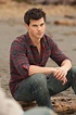 The Twilight Saga: Official UK Page | Taylor lautner, Jacob black ...