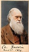 Charles Darwin (1809 - 1882) | Robert darwin, Charles darwin, Darwin