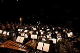 DIE FANTASTISCHE WELT DER FILMMUSIK 2010 | Young Classic Sound Orchestra