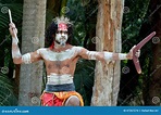 Manifestazione Aborigena Della Cultura Nel Queensland Australia ...