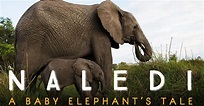 Naledi: A Baby Elephant's Tale - película: Ver online