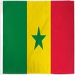 3x5 Senegal Flag African Country Banner Republic Pennant - Walmart.com