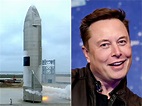 Starship, de SpaceX, aterriza con éxito: un gran paso de Elon Musk ...