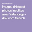 images drôles et photos insolites avec Yatahonga - Ask.com Search ...