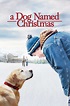 ‎A Dog Named Christmas (2009) directed by Peter Werner • Reviews, film ...