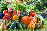 100+ Easy Vegetable Varieties for Beginners