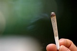 9 faits à savoir ABSOLUMENT sur le cannabis - Le Cahier