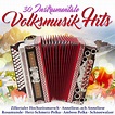 30 instrumentale Volksmusik-Hits (2 CDs) – jpc