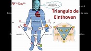 1. Sistema de mando del Corazon y el Triangulo de Einthoven, el secreto ...