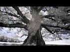 Erik Wøllo - There Will Be Snow | Movies, Erik, Breathtaking