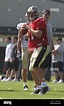 New Orleans Saints quarterback Patrick Ramsey (11) at NFL football ...