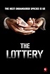 The Lottery. Serie TV - FormulaTV