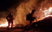 厦门森林火灾过火面积约250亩 目前明火已被扑灭|森林火灾|消防员_新浪新闻
