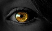 Can The Eyes Of Unenchanted Humans Glow? | Ask Mystic Investigations