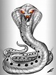 King Cobra Drawing at PaintingValley.com | Explore collection of King ...