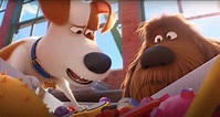 Llegan las nuevas aventuras del perro Max con `Mascotas 2´en el Cine de ...