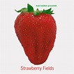 Bob Belden Presents Strawberry Fields (CD, Album, Compilation) | Discogs