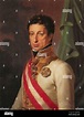 . English: Archduke Charles, Duke of Teschen (1771-1847) Español: Carlos de Austria-Teschen ...