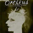 Orpheus The Low Down : Andy Partridge / Peter Blegvad | HMV&BOOKS ...