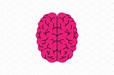 Pink brain symbol. Pink human brain | Vector Graphics ~ Creative Market