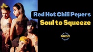 Red Hot Chili Peppers - Soul to Squeeze - YouTube