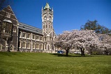 Top 10 Universities In New Zealand For Architecture - CareerGuide