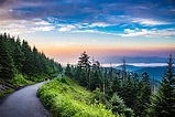 Clingmans Dome | Outdoor Project