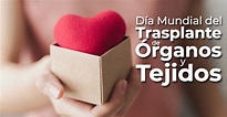 27 de Febrero | Día Mundial del Trasplante de Órganos y Tejidos ...