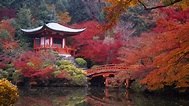 Daigo-ji is a Shingon Buddhist temple in Fushimi-ku, Kyoto, Japan.