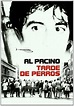 Tarde De Perros [DVD]: Amazon.es: Al Pacino, John Cazale, Charles ...
