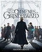 Ver Animales fantásticos 2: Los Crímenes de Grindelwald (2018) Online ...