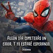 Descubrir 92+ imagen frases del hombre araña tobey maguire - Viaterra.mx