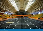 Arena esportiva moderna foto de stock. Imagem de esporte - 29314268