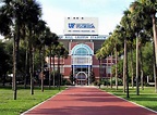 Estudiar en la University of Florida Carreras y Admisión 2024