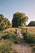 Grantchester Meadows Walk Cambridge (a delightful afternoon stroll) The ...
