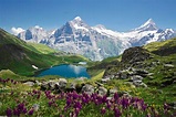 Grindelwald, Schweiz - [GEO]