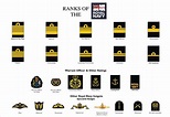 Ranks of the Royal Navy | Royal navy, Navy rank insignia, Navy ranks