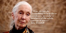 10 Inspiring Jane Goodall Quotes About Our Planet's Future - 8Shades