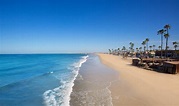 20 Best Beaches in Newport Beach, CA (2022) Top Beach Spots!