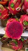 Nuevo modelo de negocio en el cultivo de pitahaya American Beauty