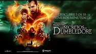 Animales Fantásticos: Los secretos de Dumbledore - 10 primeros minutos ...