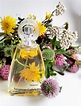 Nazareno Nazareno Gabrielli perfume - a fragrância Feminino 2000