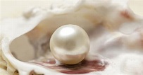 What Is the ‘Pearl of Great Price’ in Scripture and What Does it Mean?
