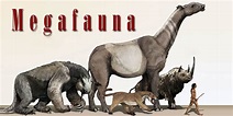 Megafauna – big animals | DinoAnimals.com