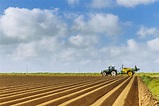 Tilling vs. Plowing: What's the Difference? | Gonzales Equipment Sales Inc.